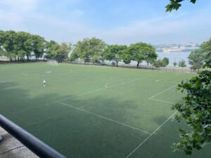 Soccer Field image 1