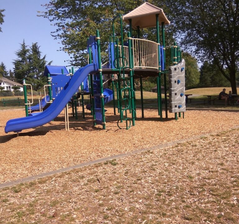 Soccer Field image 2