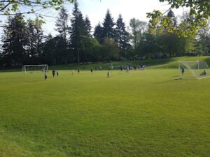 Soccer Field image 1