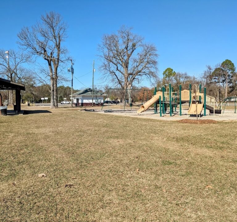 Soccer Field image 2