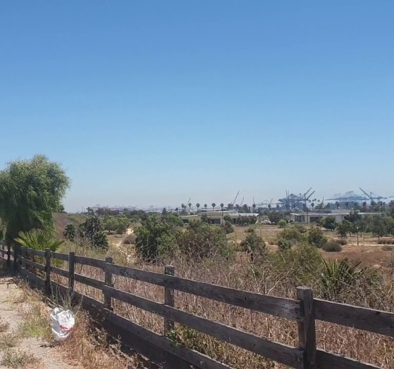 Soccer Field image 4