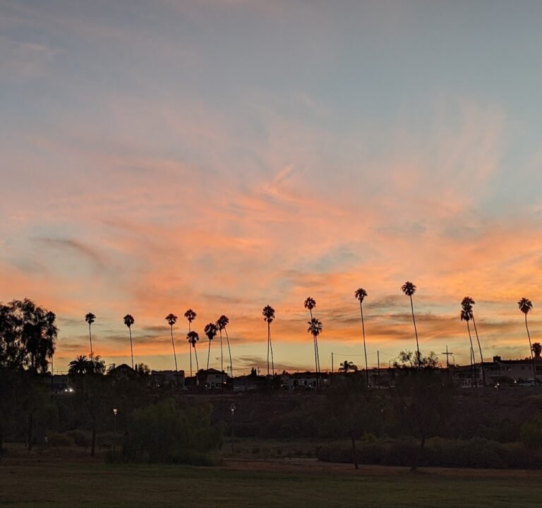 Soccer Field image 2