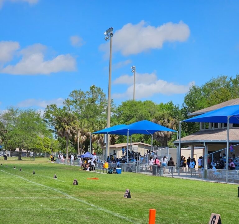 Soccer Field image 2