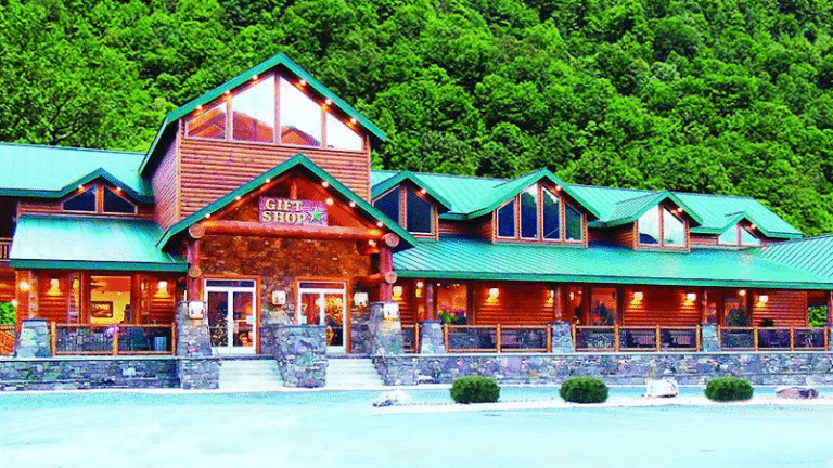 46132 8f667c5c216f 768x432