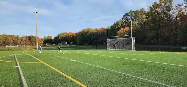 46327 6e2ba50c89a7 768x359