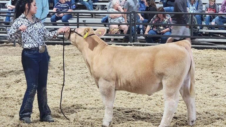 46492 395e52763573 768x432