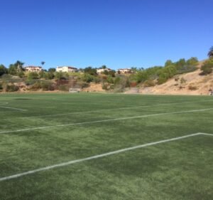 Soccer Field image 3
