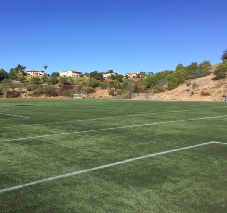 Soccer Field image 3