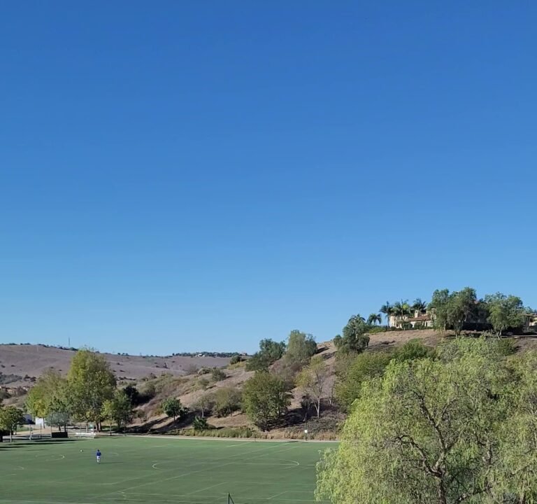 Soccer Field image 4