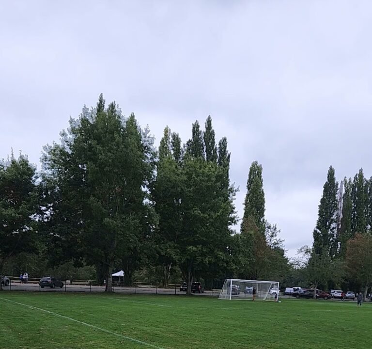 Soccer Field image 2