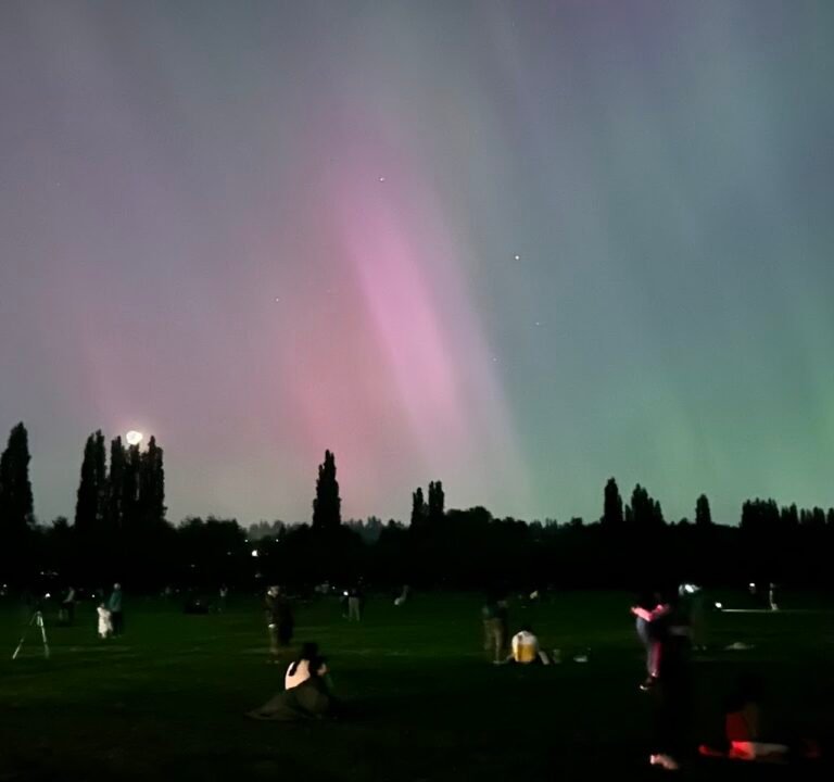 Soccer Field image 3