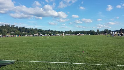 Soccer Field image 1