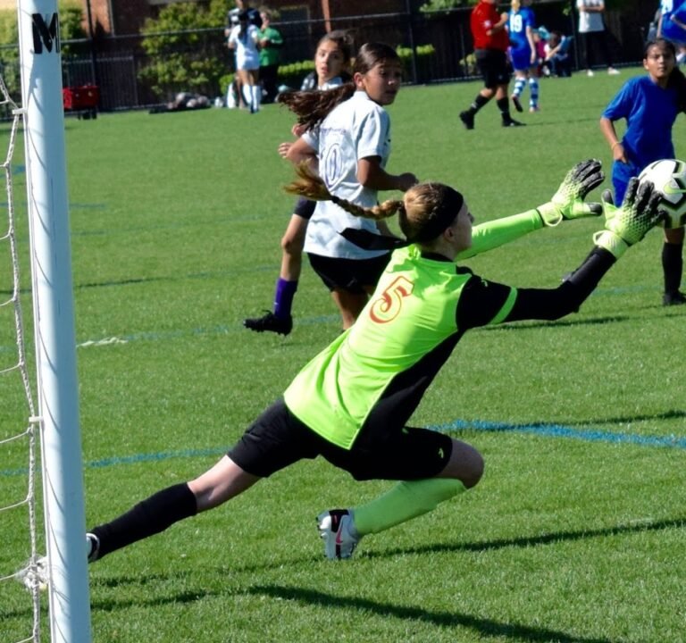 Soccer Field image 3