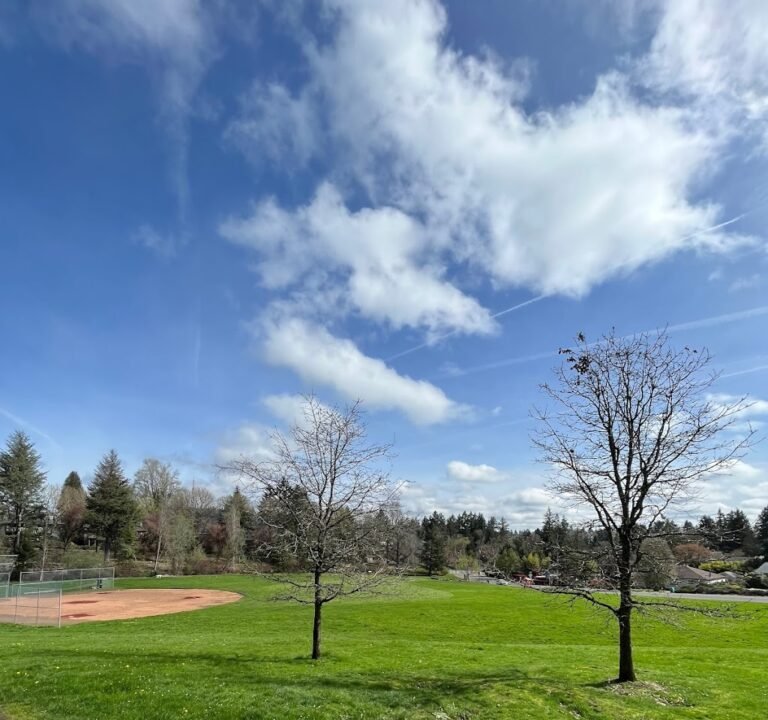 Soccer Field image 3