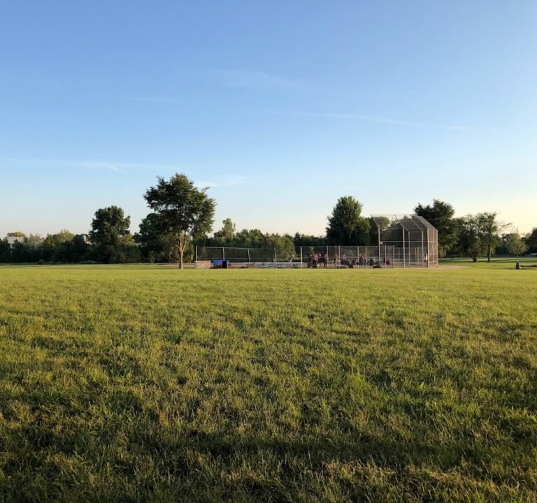 Soccer Field image 2