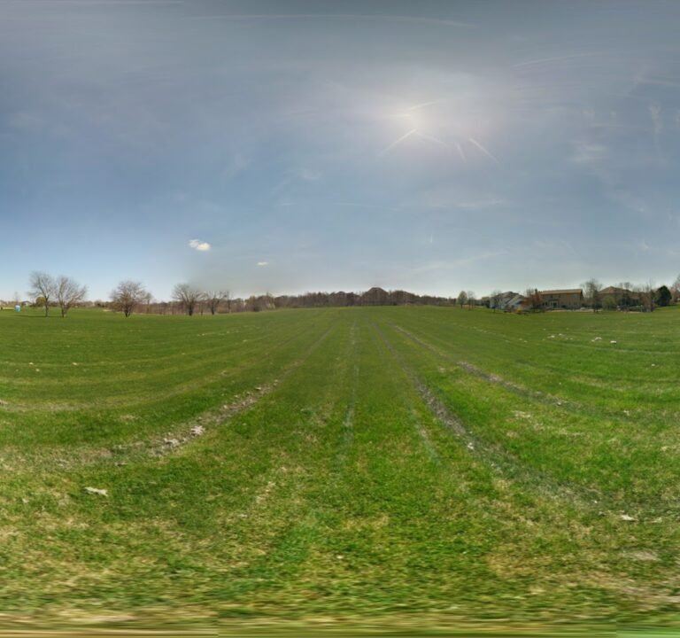 Soccer Field image 3