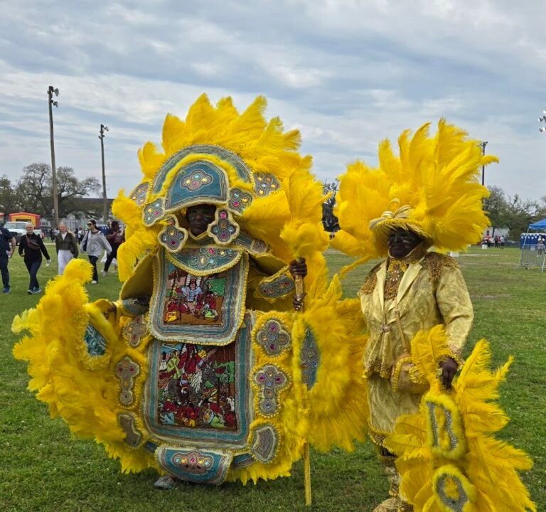 Soccer Field image 2