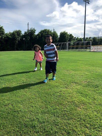 Soccer Field image 1