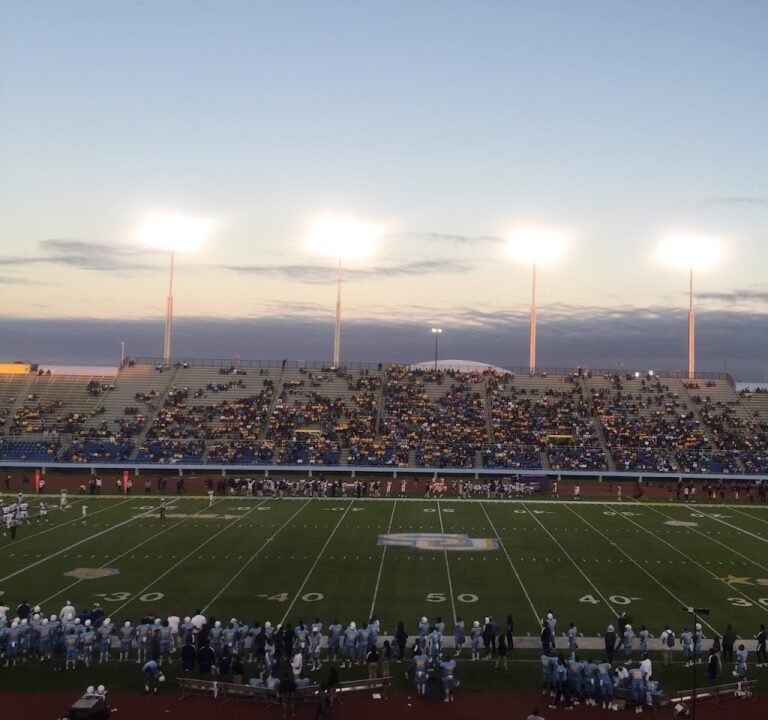 Soccer Field image 2