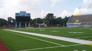 Soccer Field image 1