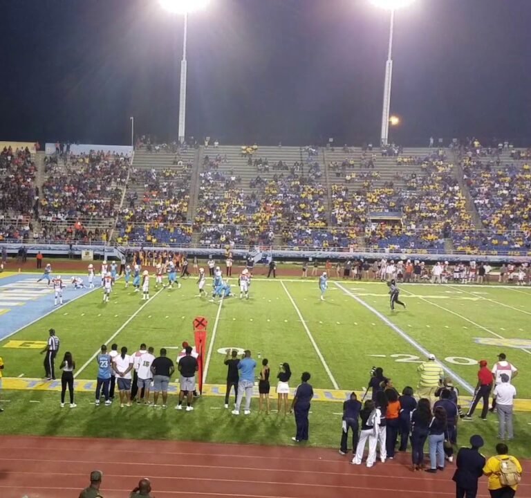 Soccer Field image 3