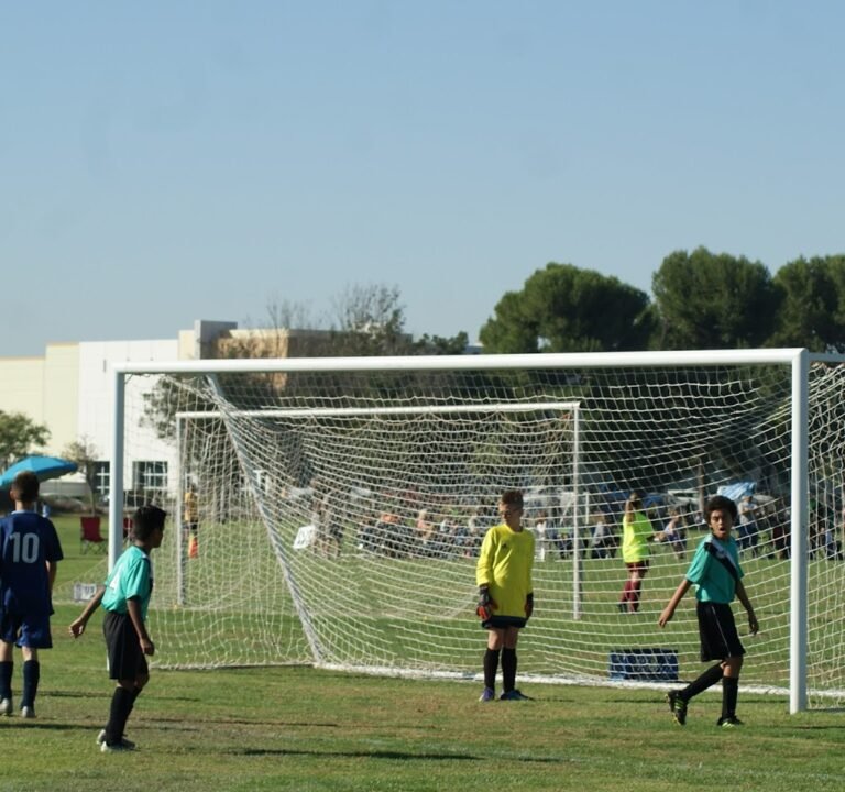 Soccer Field image 3