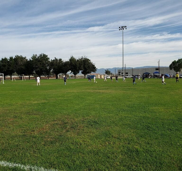 Soccer Field image 2