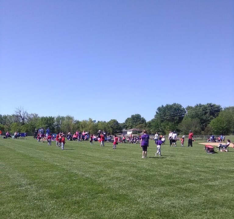 Soccer Field image 2