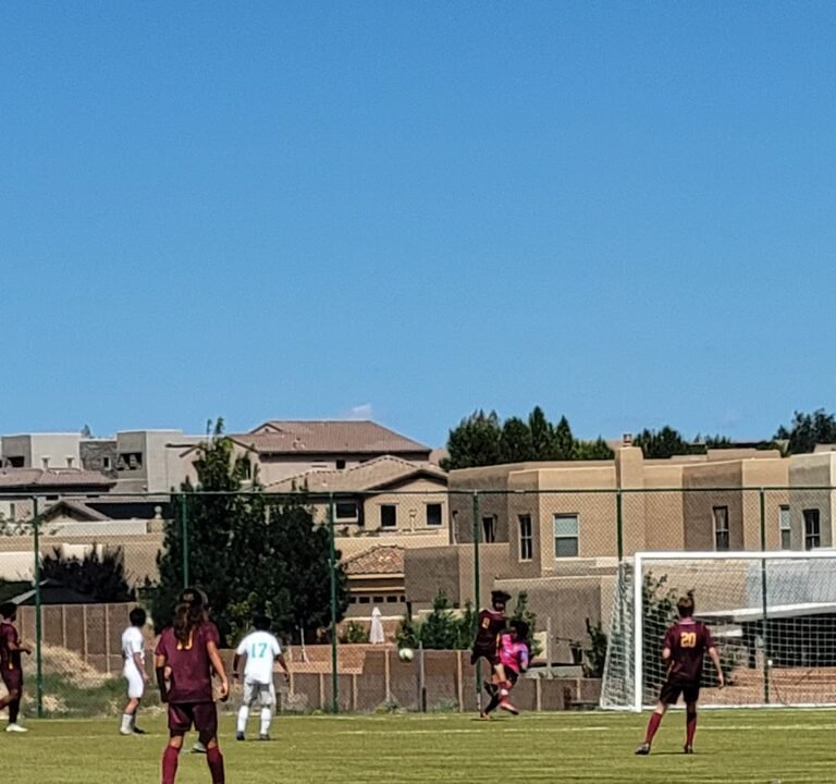 Soccer Field image 3