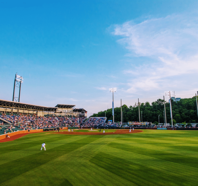 Soccer Field image 2