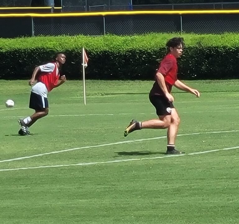 Soccer Field image 2