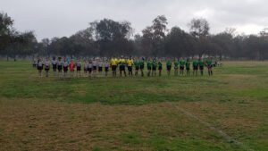 Soccer Field image 1