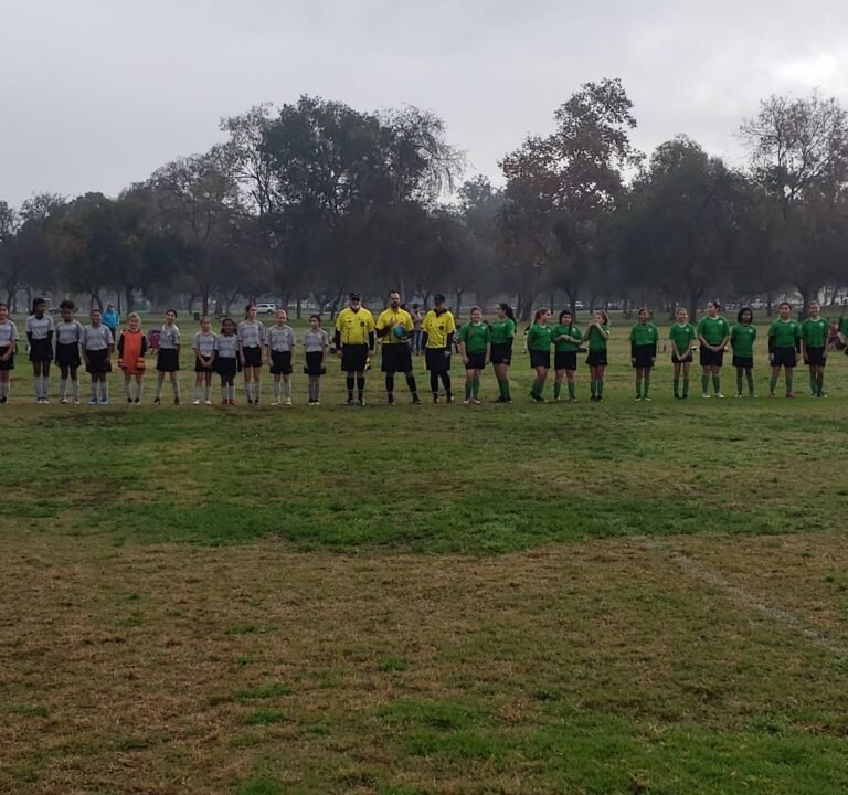 Soccer Field image 2