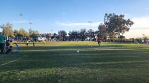 Soccer Field image 1