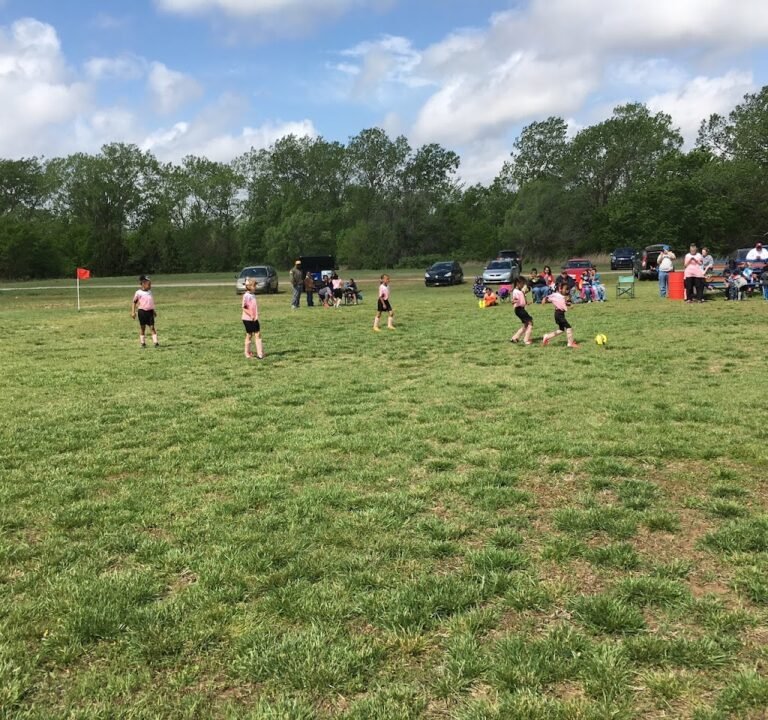 Soccer Field image 2