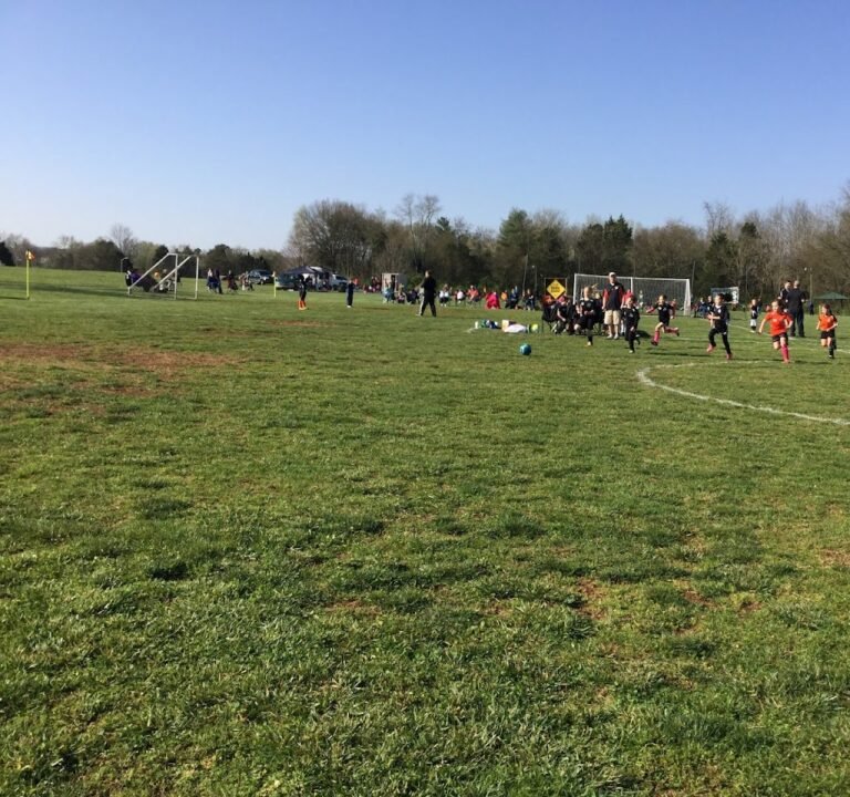 Soccer Field image 3