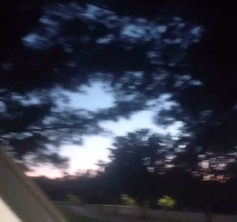 Soccer Field image 4