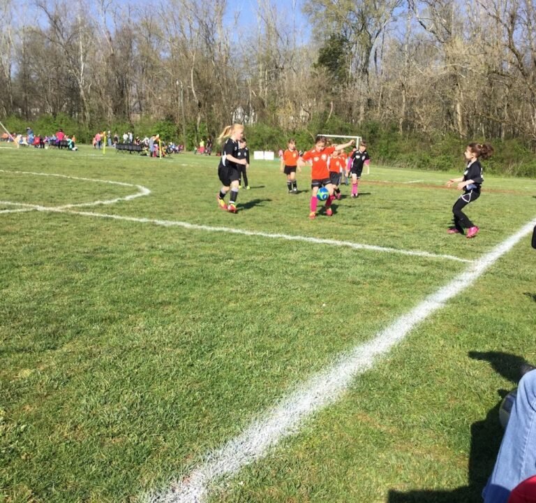 Soccer Field image 2