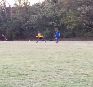 Soccer Field image 2