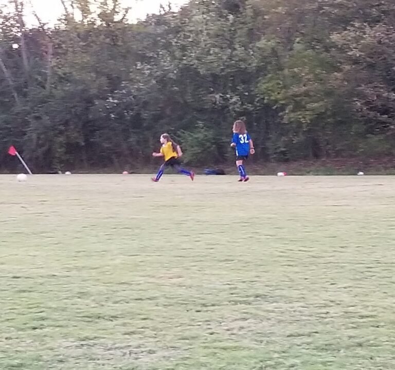 Soccer Field image 2