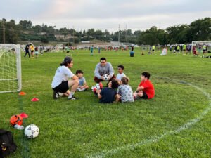 Soccer Field image 1