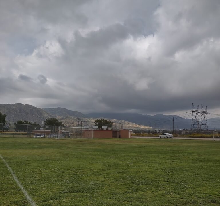 Soccer Field image 2