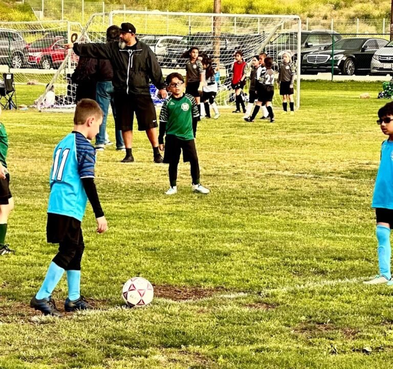 Soccer Field image 3