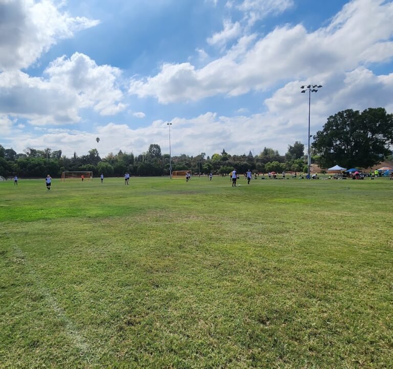 Soccer Field image 2