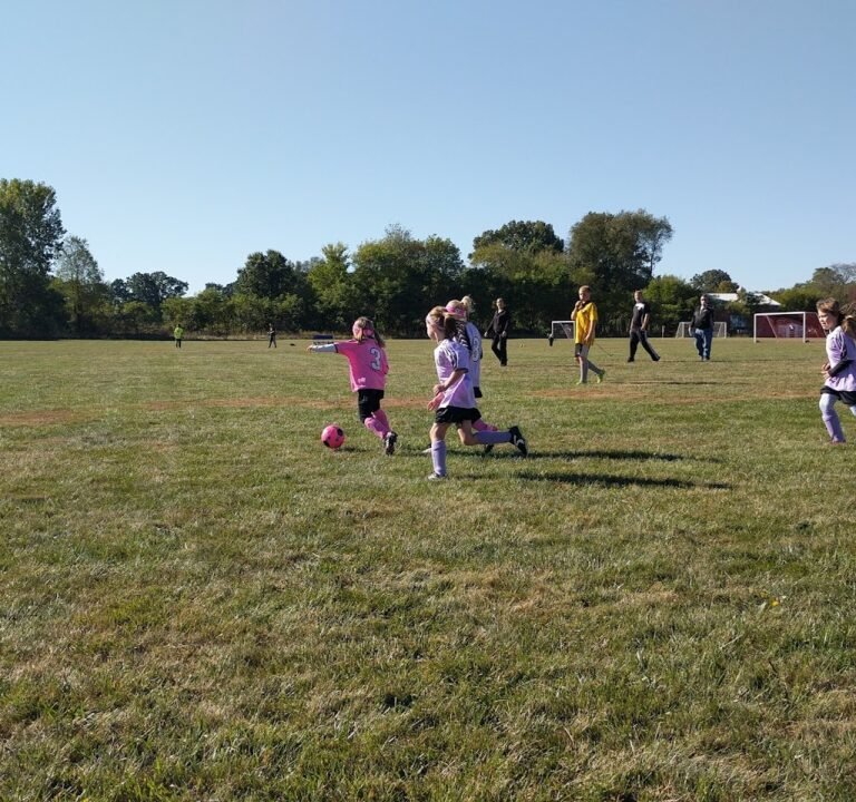 Soccer Field image 3