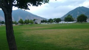 Soccer Field image 1
