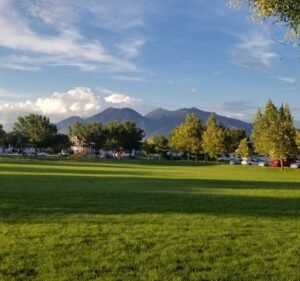 Soccer Field image 2