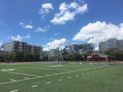Soccer Field image 1