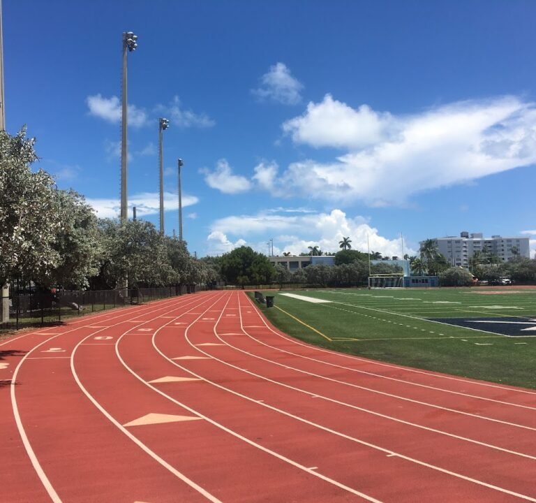 Soccer Field image 2