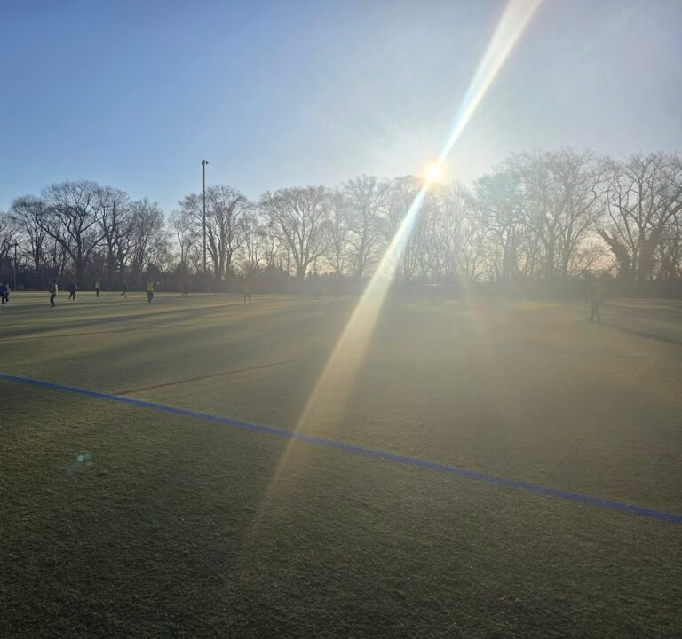 Soccer Field image 3